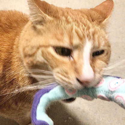 Catnip Kraken