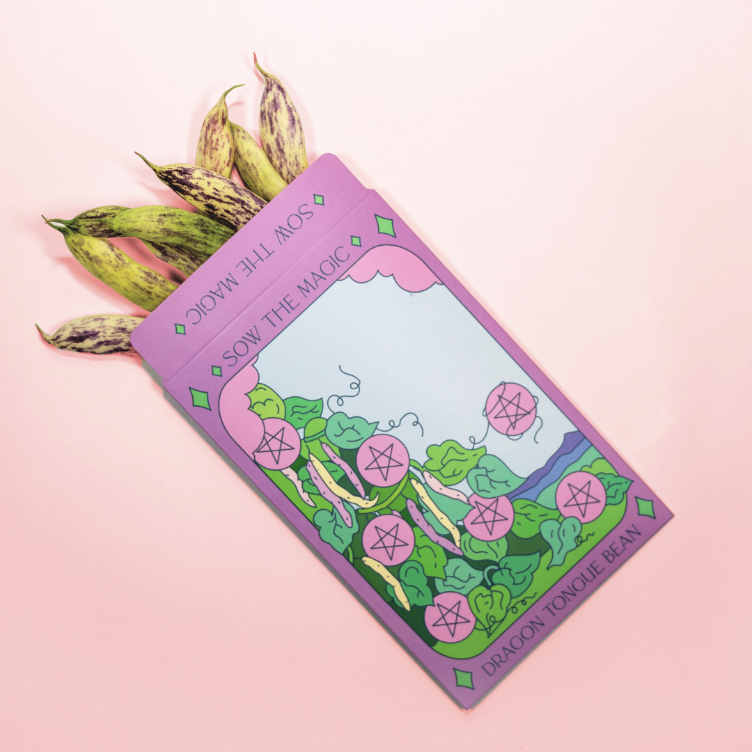 Dragon Tongue Bush Bean Tarot Garden