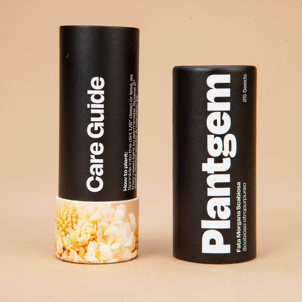 Scabiosa Fata Morgana - 50 Seeds