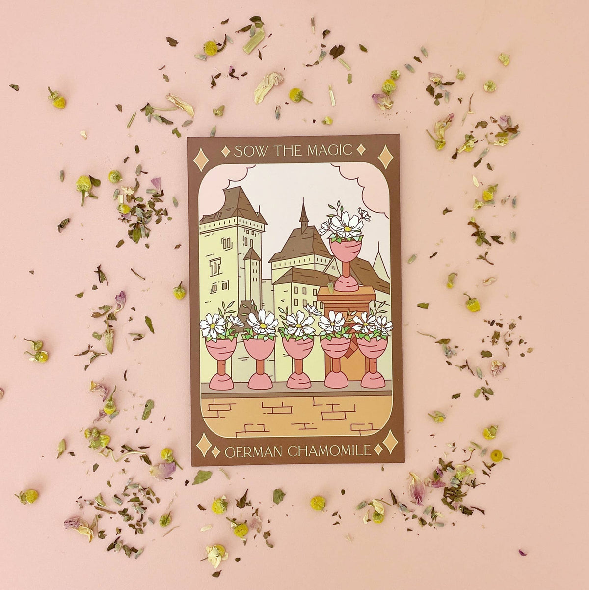 German Chamomile Tarot Garden