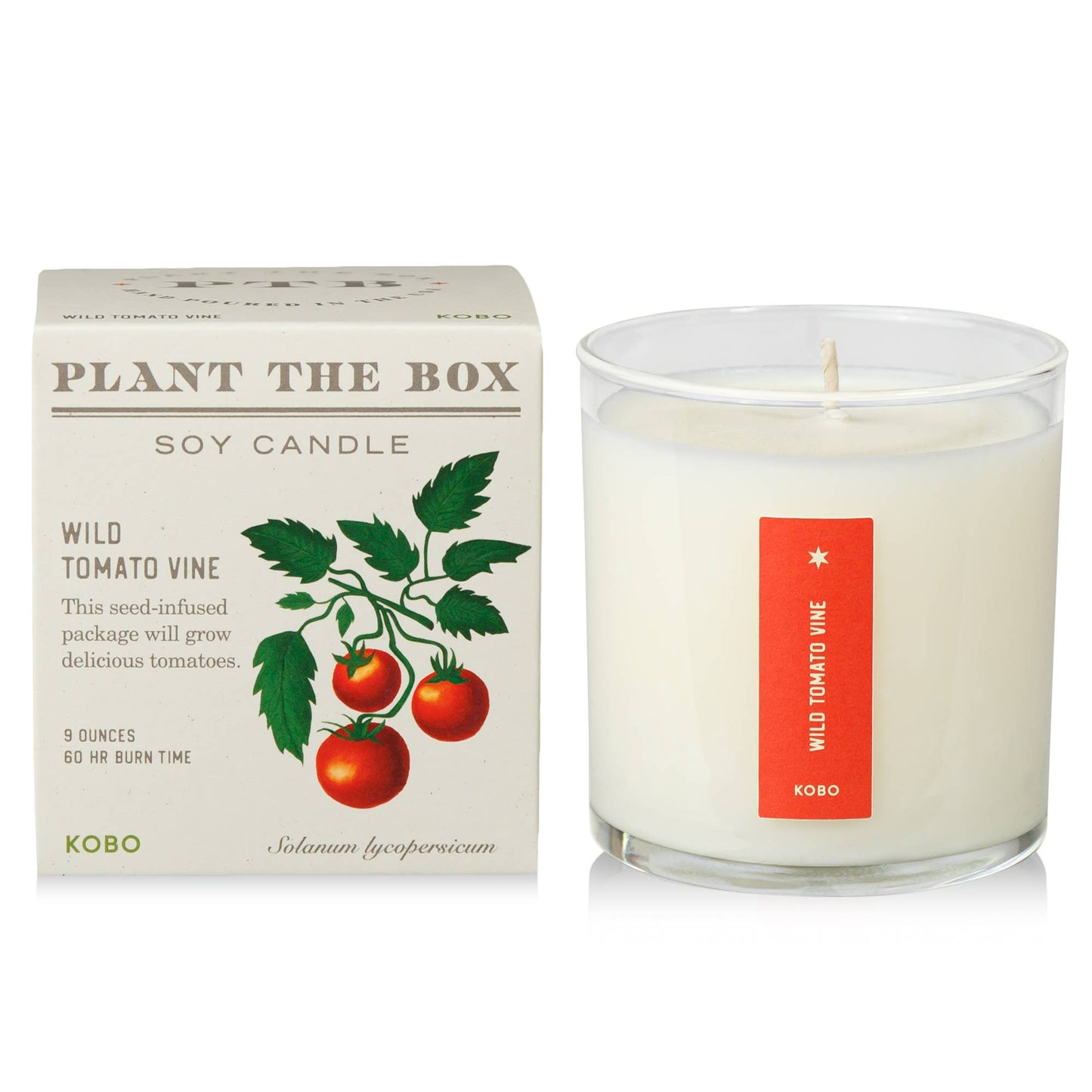 Plant the Box Candle, Wild Tomato Vine