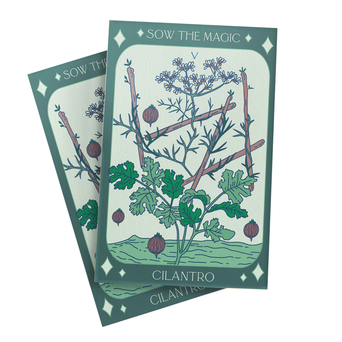Cilantro Coriander Tarot Garden