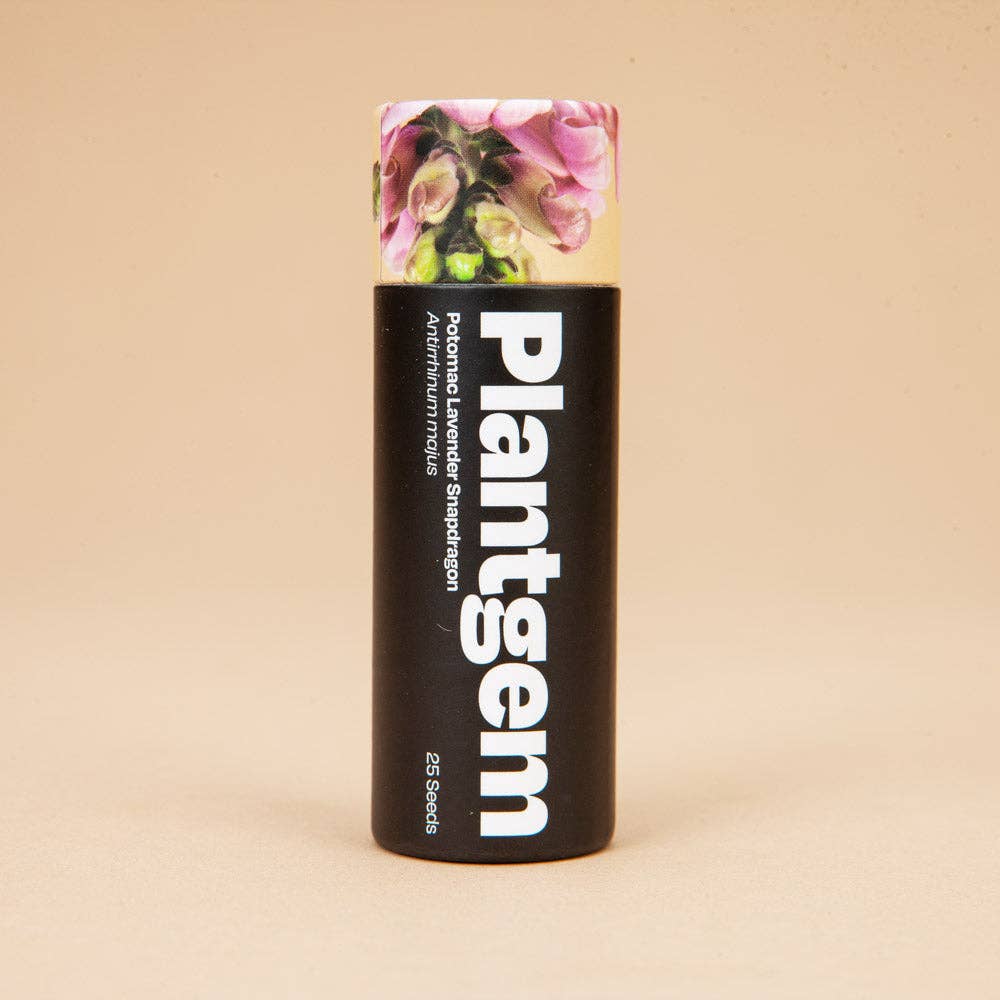 Potomac Lavender Snapdragon - 50 Seeds