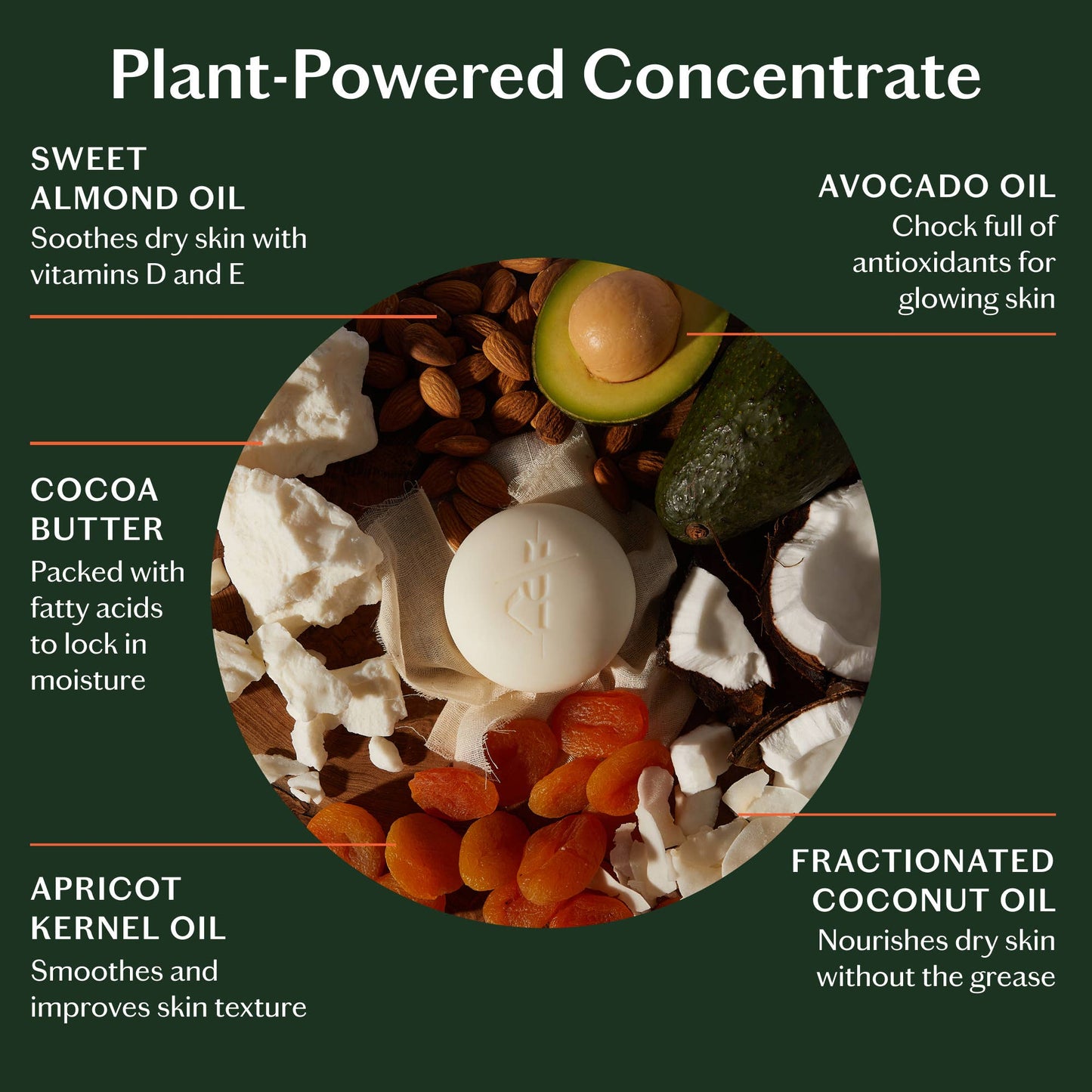 Daily Stone, Deep Moisturizing Lotion Bar