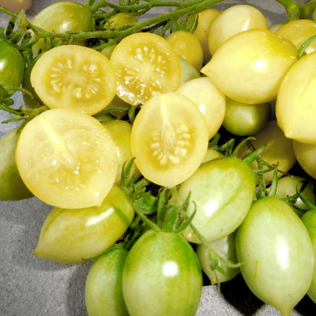 Crazy Cherry Tomato Tarot Garden