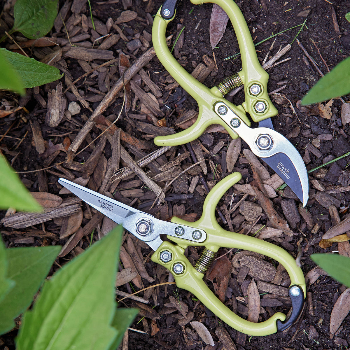 Colored Garden Pruners