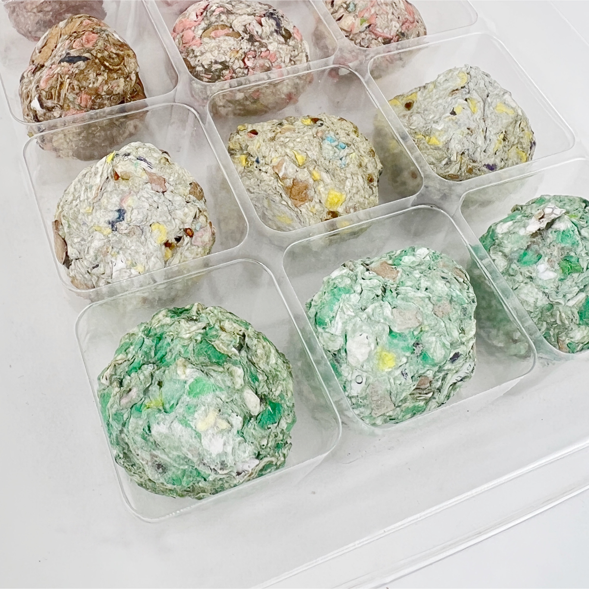 12 Days of Planting Christmas Advent Calendar