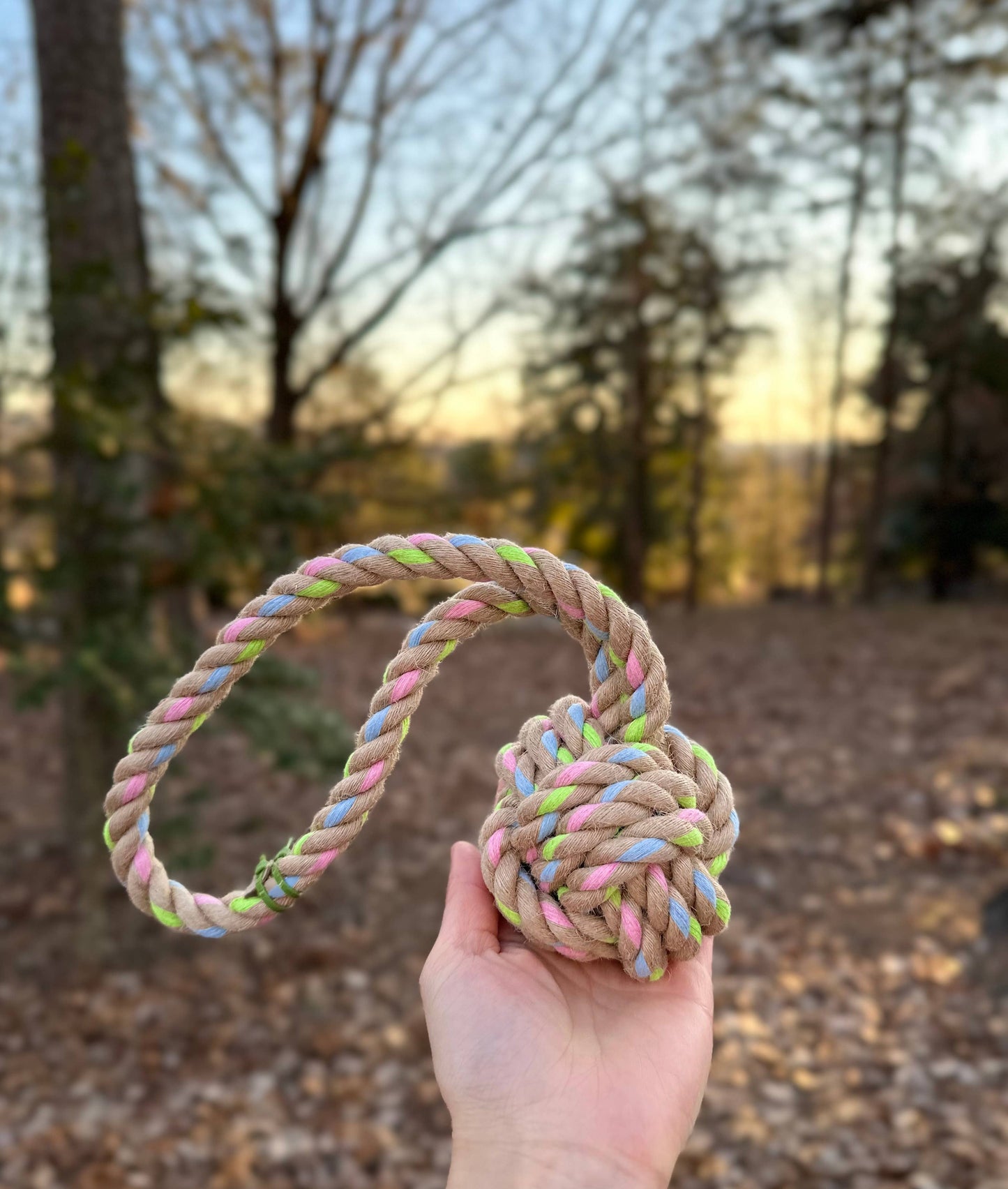 Rainbow Joy Dog Tugger