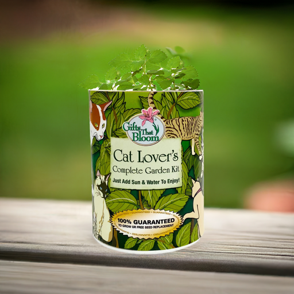 Cat Lover's Garden Seed Kit