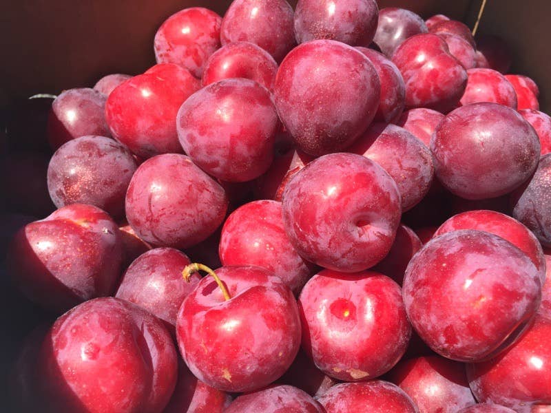 Vanilla Plum Medley Spoon Preserves