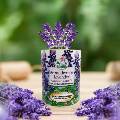 Aromatherapy Lavender Garden Seed Kit