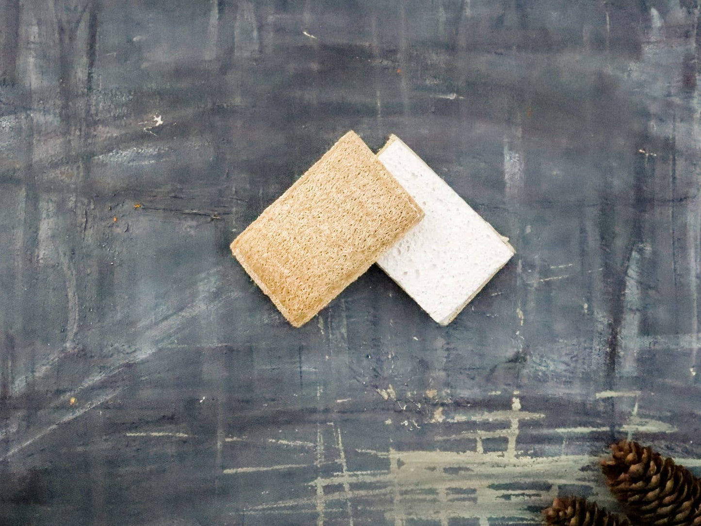 Dish Soap & Scrubber Bundle