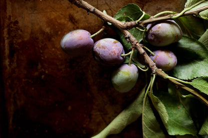 Vanilla Plum Medley Spoon Preserves