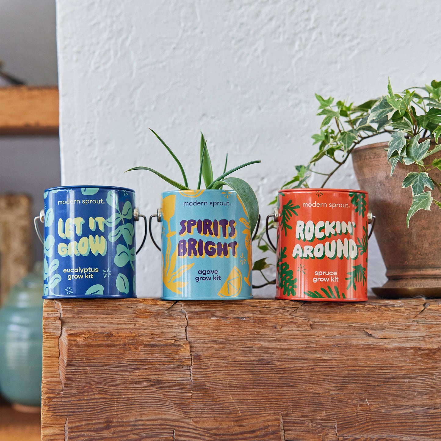 Holiday Complimentary Colors Grow Kits