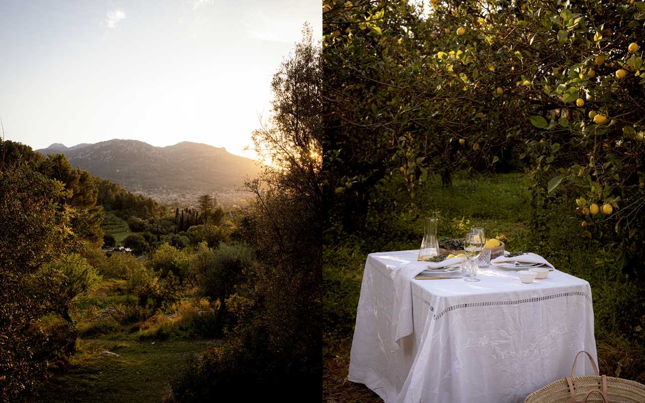 Artful Way to Plant-Based Cooking by Chloé Crane-Leroux