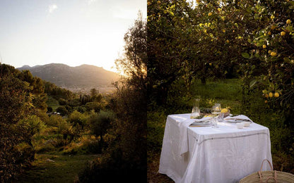 Artful Way to Plant-Based Cooking by Chloé Crane-Leroux