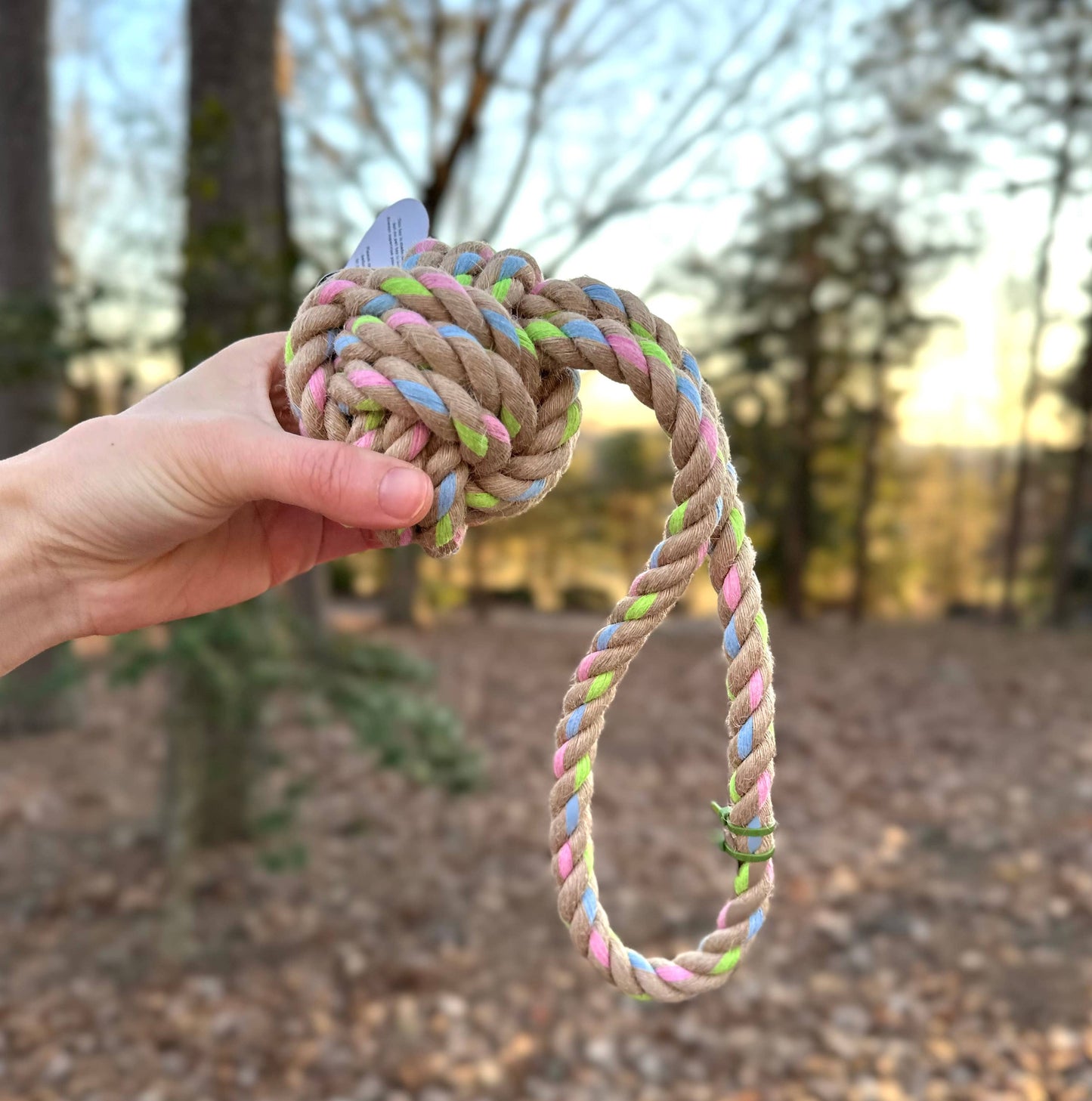Rainbow Joy Dog Tugger