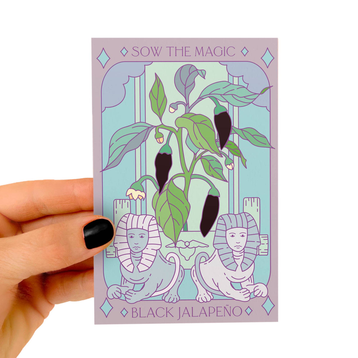 Black Hungarian Jalapeño Tarot Garden