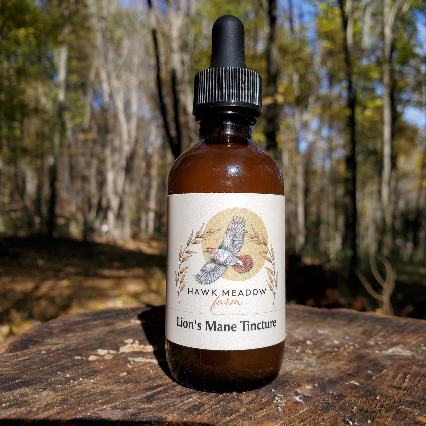 Hawk Meadow Lions Mane Tincture