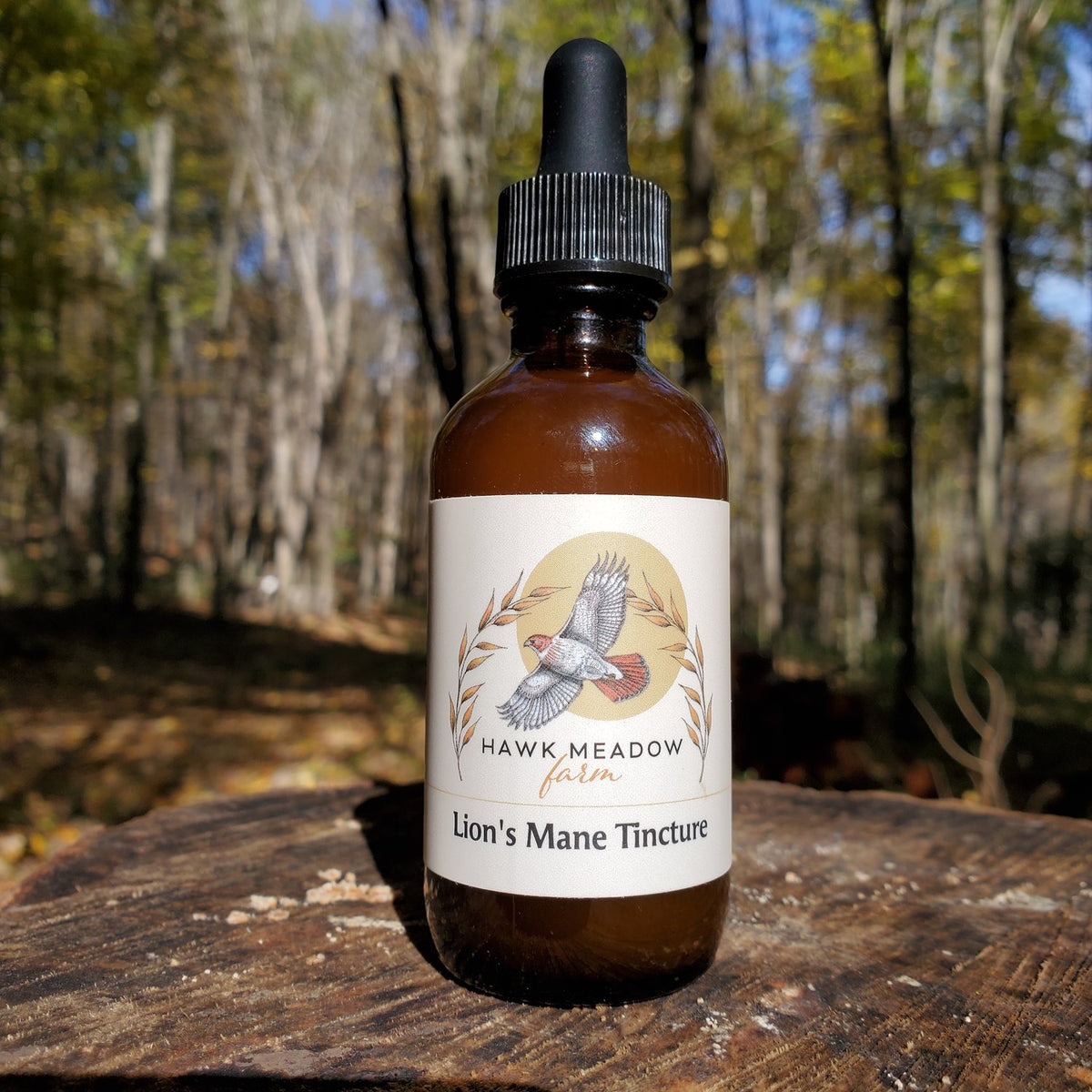 Hawk Meadow Lions Mane Tincture