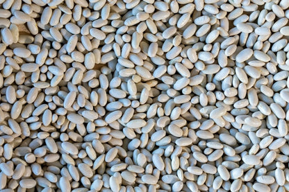 Rancho Gordo Marcella Bean