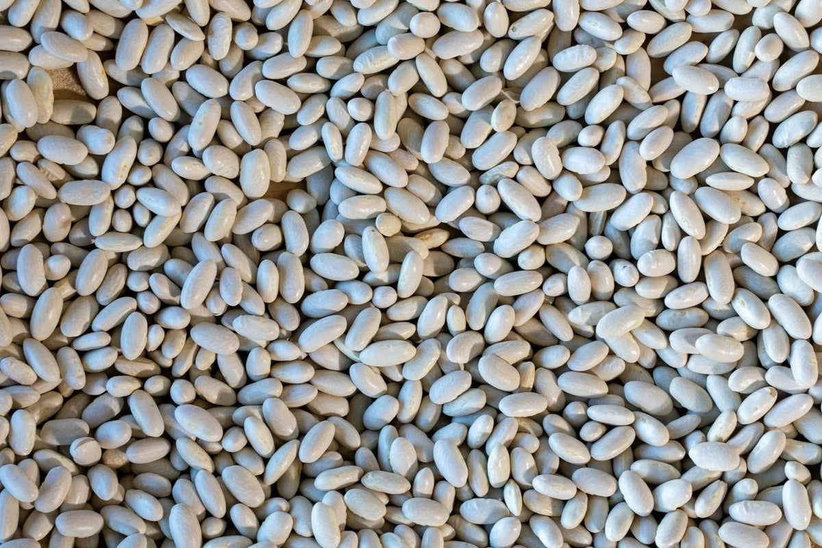 Rancho Gordo Marcella Bean