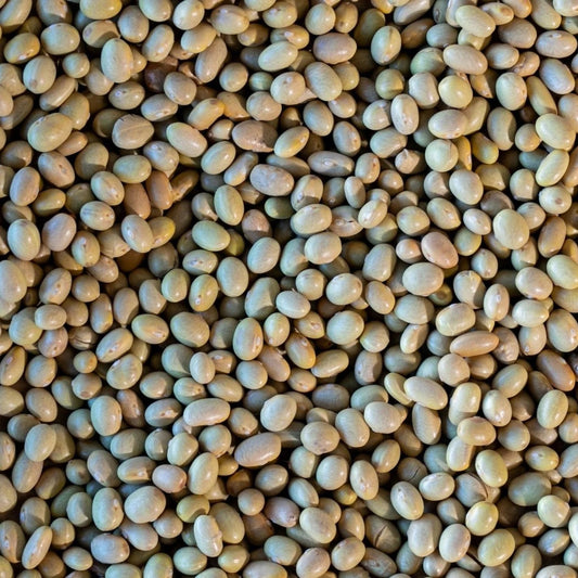 Rancho Gordo Mayocoba Bean