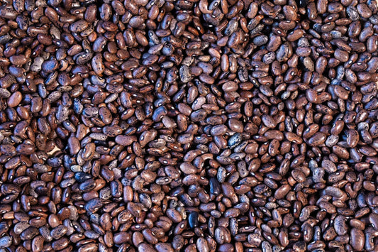 Rancho Gordo Moro Bean