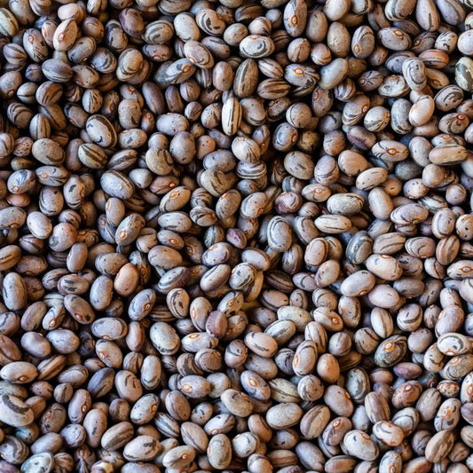 Rancho Gordo Occhio della Capra Beans