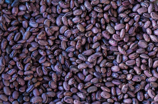 Rancho Gordgo Rio Zape Bean