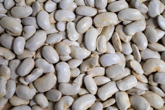 Rancho Gordo Royal Corona Bean