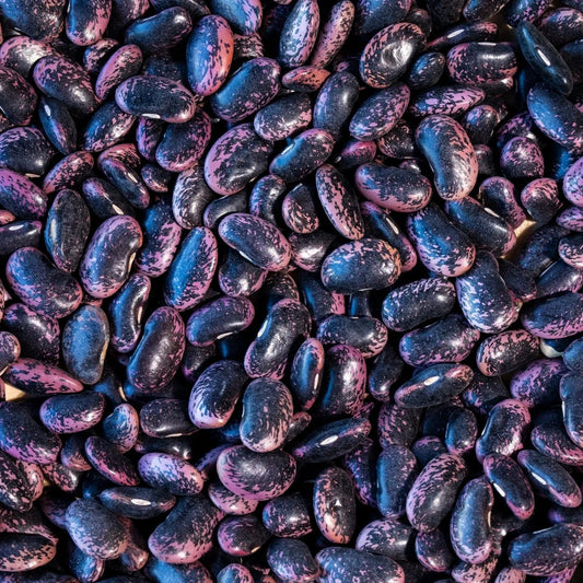Rancho Gordo Scarlet Runner Bean