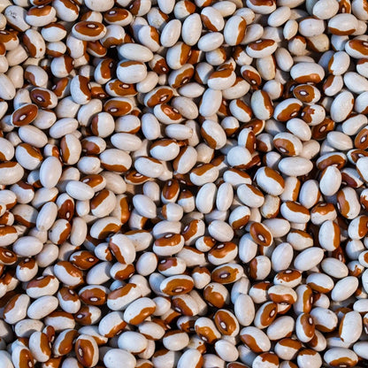 Rancho Gordo Yellow Eye Bean