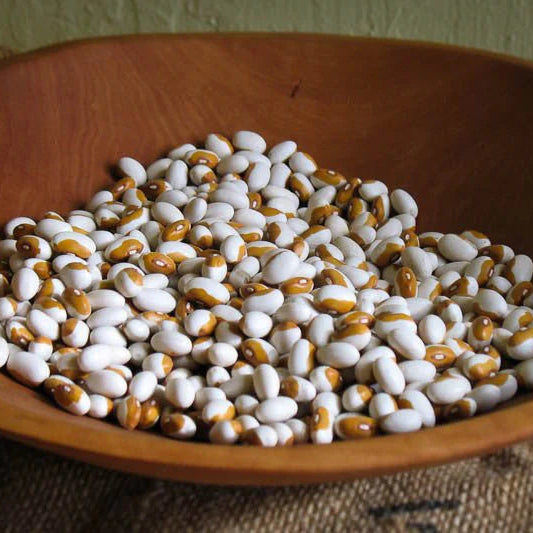 Rancho Gordo Yellow Eye Bean